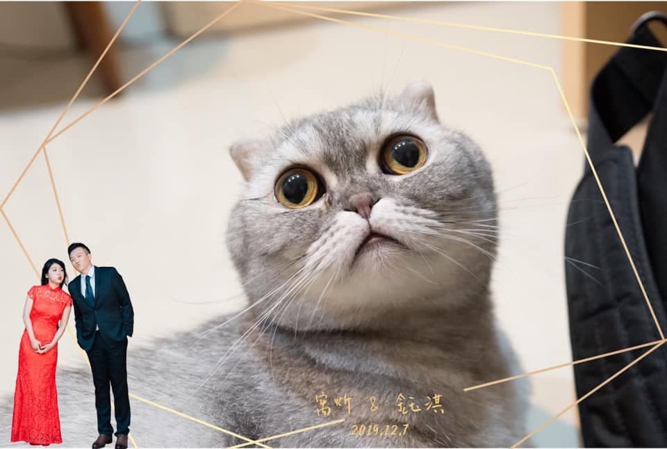 婚禮拍貼機首選”拍拍印”